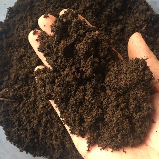 汤阴县蚯蚓粪  纯牛粪蚯蚓有机肥