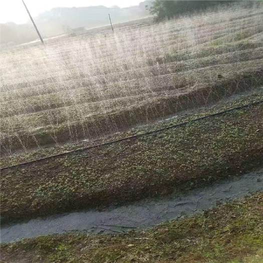 郓城县农业喷灌带批发 园林灌溉用微喷带 喷灌带。水量大 质量好