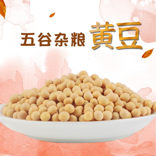 沈阳大豆 银鹤 林甸县五谷杂粮之东北黄豆2.5kg/袋