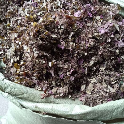 天全县风柜斗草干品