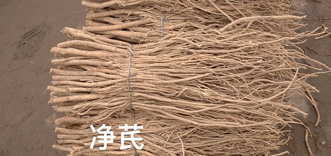 陇南黄芪片供应