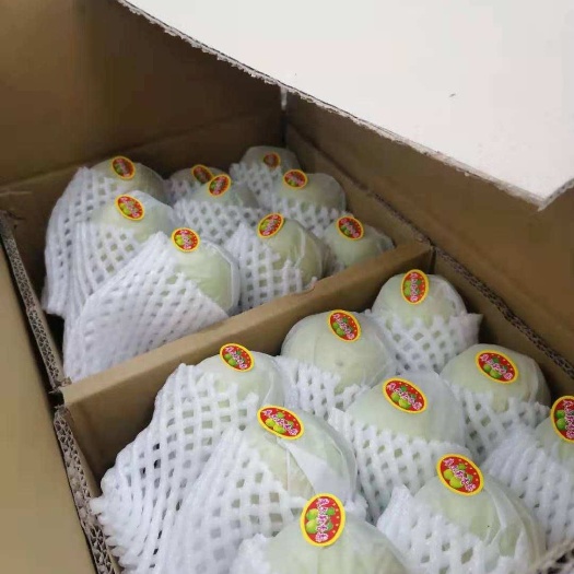轮台县库尔勒香梨。新鲜采摘，皮薄多汁，甘甜润肺