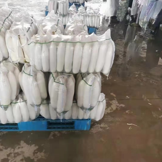 开封 白萝卜