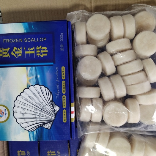 上海虾夷扇贝 黄金玉带10/20  20/30.