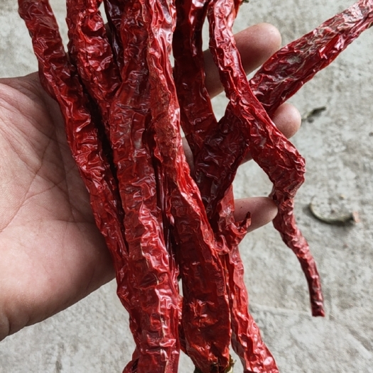 夏县烘干线椒干辣椒，量大价优136**3359**3886