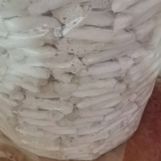 兴仁市红托竹荪  贵州深山竹林白裙仙子