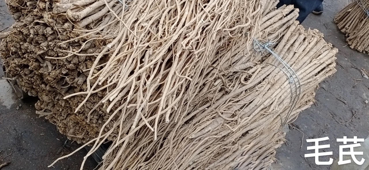 陇南黄芪片供应