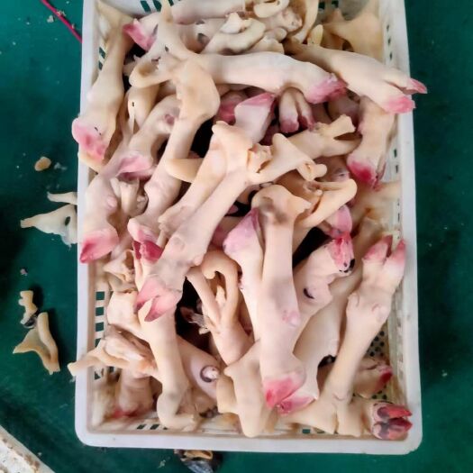 阳信县 羊蹄