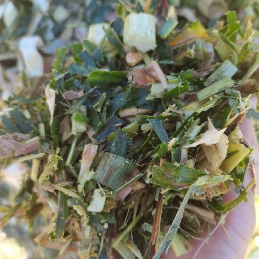 定兴县玉米秸秆 新青储，散装，捆包，现货，需要的老板联系