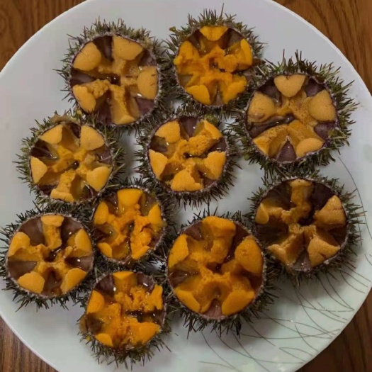 大连马F海胆，养殖场源头供应，刺身级别