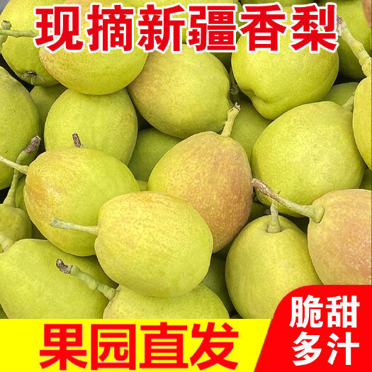 【现摘现发】红香酥梨香梨新鲜梨子5/10斤包邮源自新疆库尔