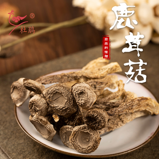 古田县鹿茸菇散装5公斤 杜鹃厂家批发福建古田产地精选本色切根鹿茸菌
