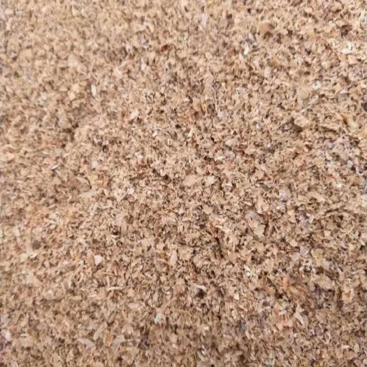 济宁全粉 小麦次粉