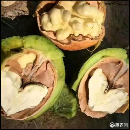 迁安市 青皮山核桃