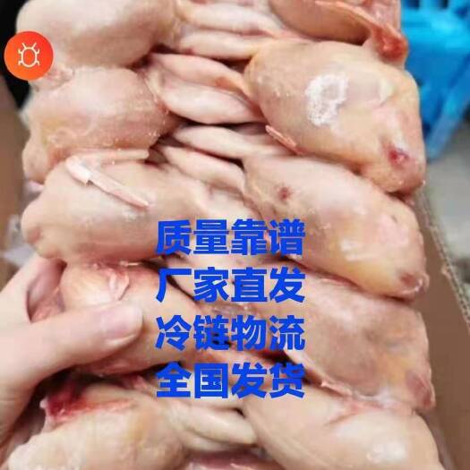 青岛 鹌鹑 放血 不放血 厂家直发冷链物流全国发货