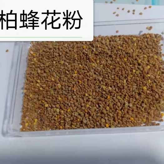蜂花粉