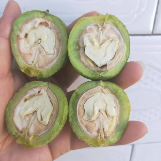 乾县青皮核桃 核桃，黄土高原底下，季风气候