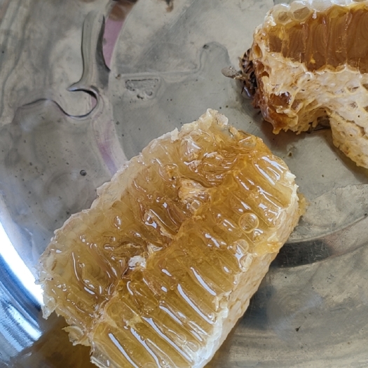 惠州纯野蜂蜜