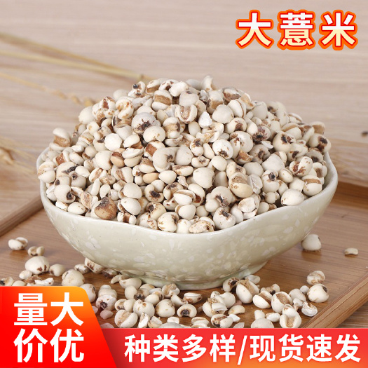 长沙批发煮粥原料大薏米 五谷杂粮农家自产薏米 薏仁大薏米仁现货