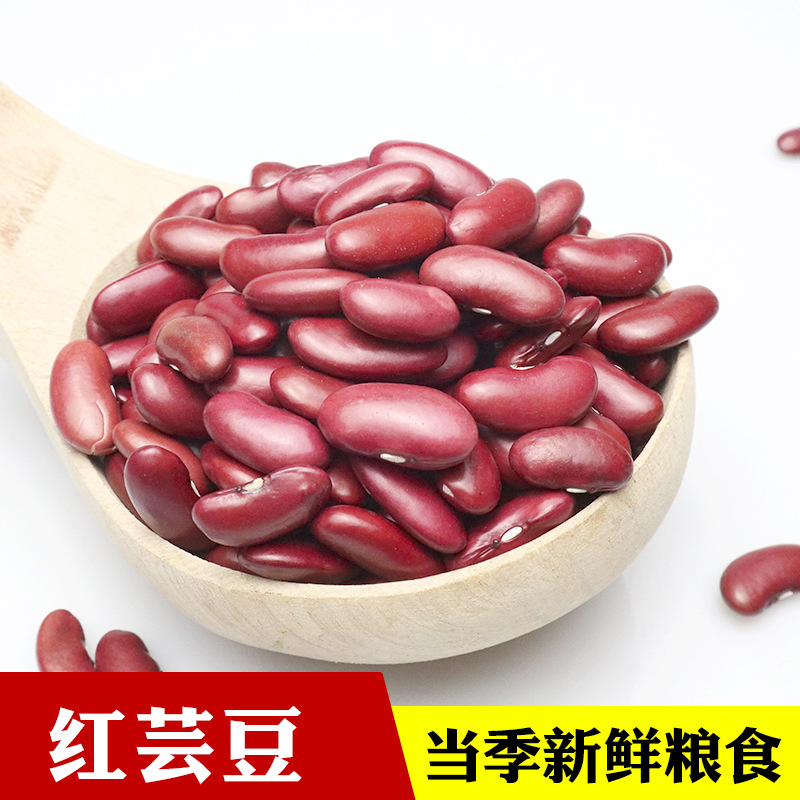 芸豆  英国红豆 红豆