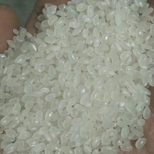 泰来县珍珠米 东北珍珠小粒，