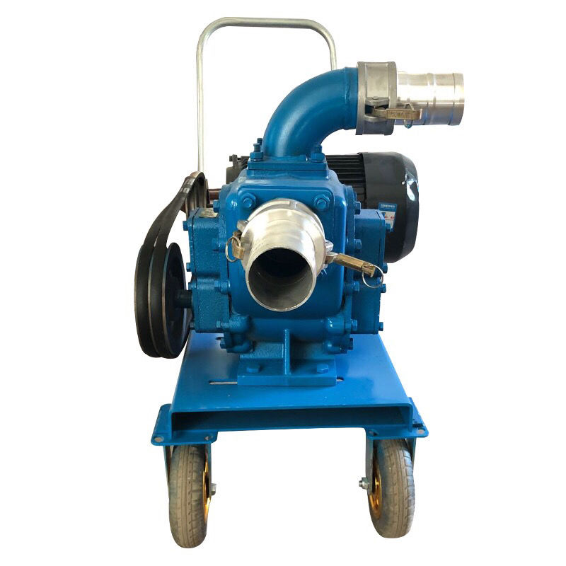 抽粪泵  直吸式吸粪泵