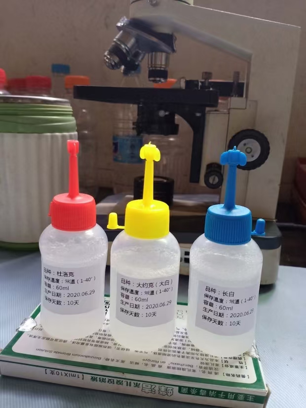 出售优质公猪精液，品种有杜洛克长白大白（大约克）60毫升/瓶