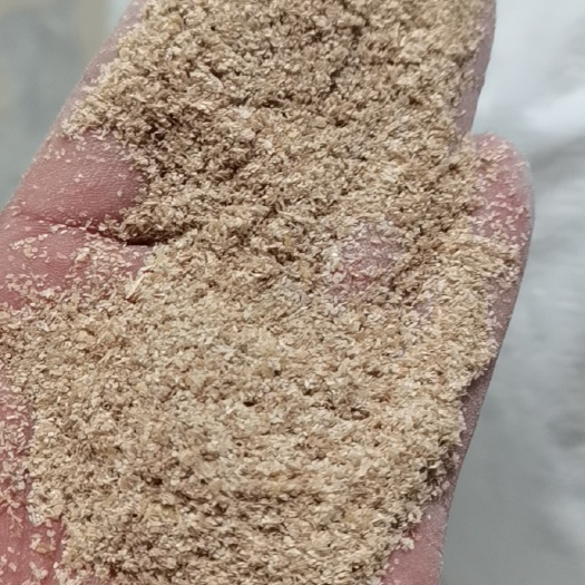 封丘县麦麸 出售麸皮