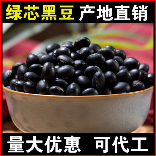 中牟县青仁黑豆 药黑豆 炒货磨粉 厂家直销 量大从优