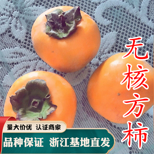 嵊州市方柿苗 临安无核脆甜柿子树苗 嫁接当年结果