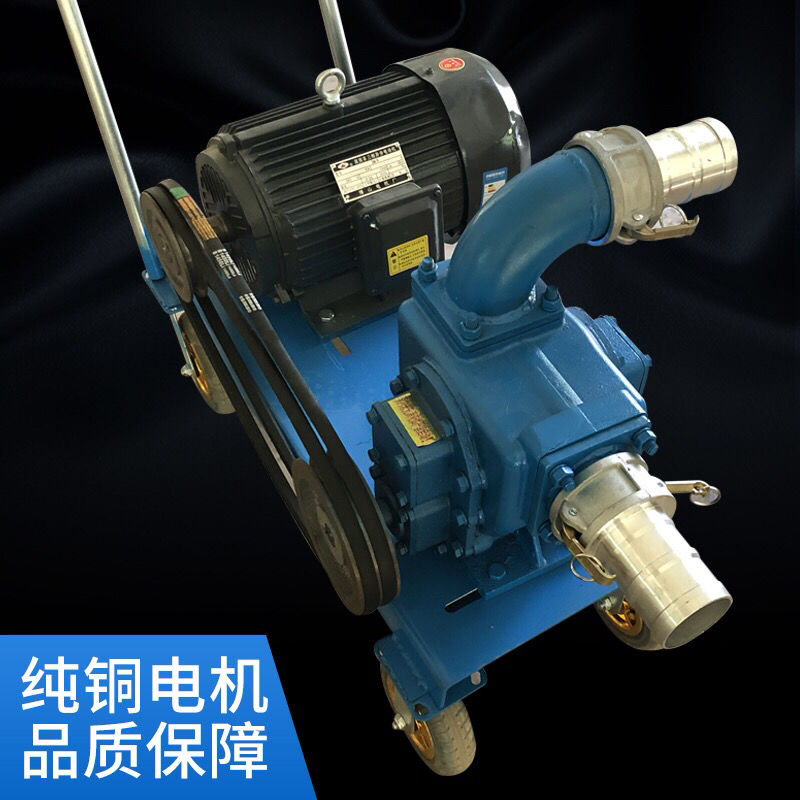 抽粪泵  直吸式吸粪泵