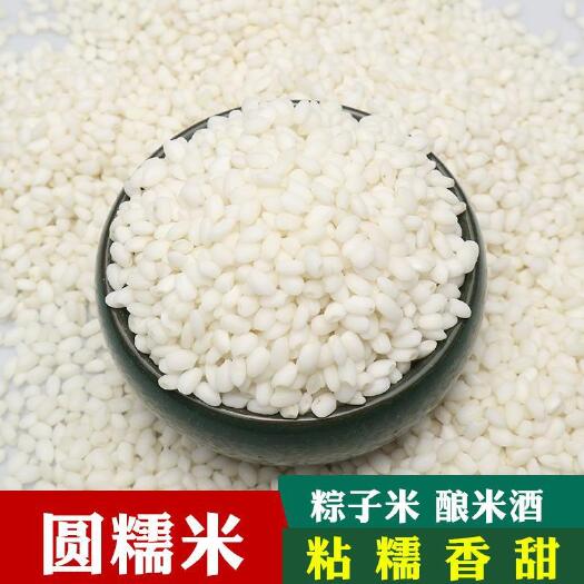中牟县五常糯米 不掺杂米