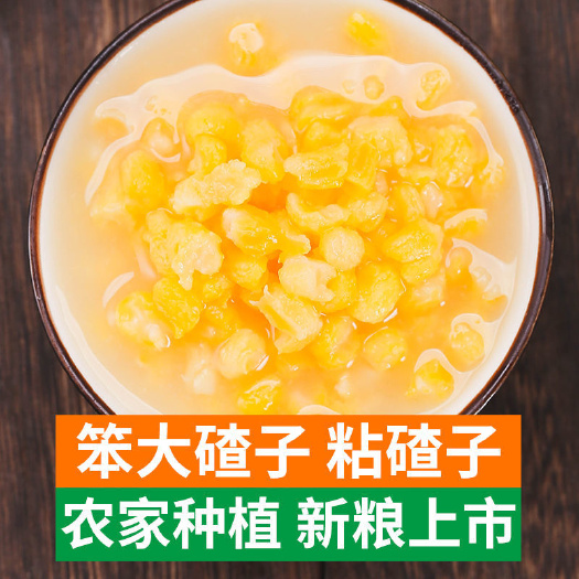 哈尔滨黄玉米粒   东北大碴子5斤大粒粘碴子批发苞米碴子小糯2斤