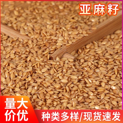 临沂生金色亚麻子仁榨油五谷杂粮 黄金亚麻籽胡麻籽 亚麻籽50斤装