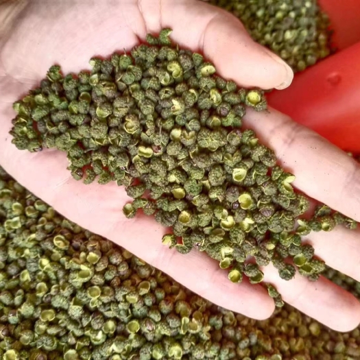 重庆市 青花椒 金阳青花椒