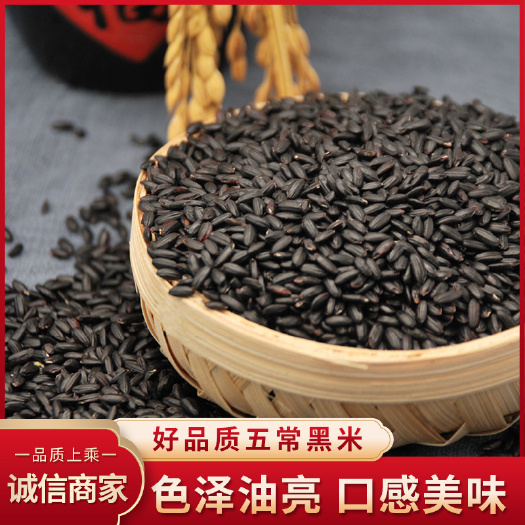 黑米 黑香米 厂家直销，量大从优