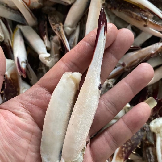 连云港远海梭子蟹  蟹钳通货
