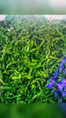 枣庄青泡椒  蔬果生鲜