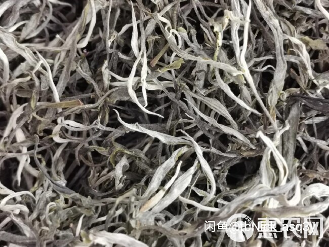 老树茶云南普洱绿茶散装生普农家茶一手茶现货批发高性价比口粮茶