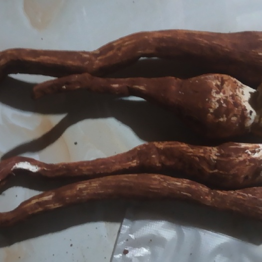 大理市正宗黑皮鸡枞，假一赔十