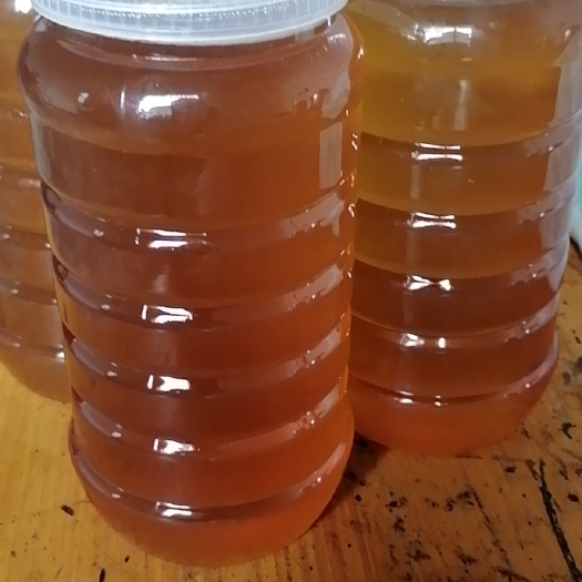 兴宁市土蜂蜜 蜂蜜