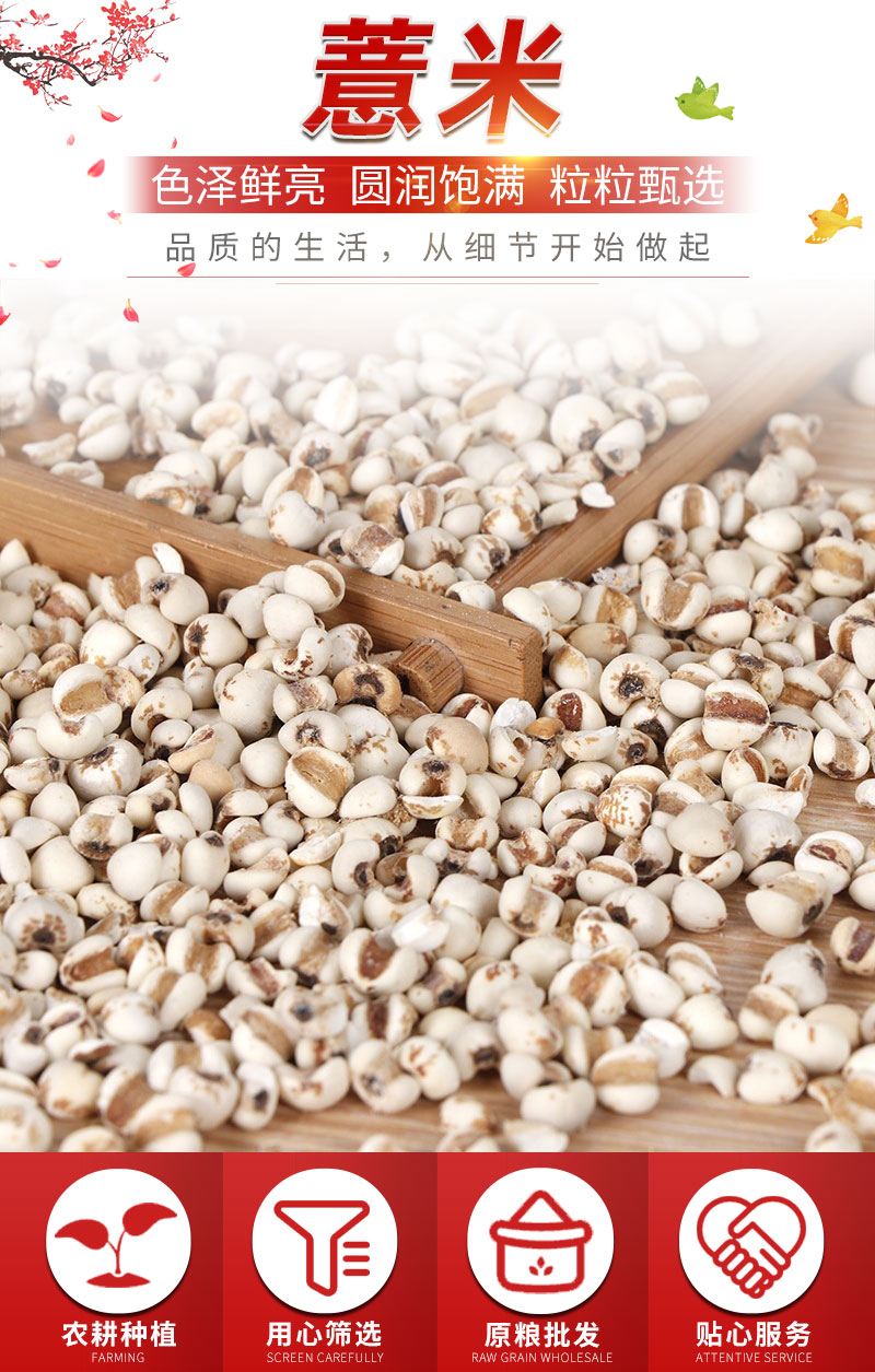 大米  批发农家自产大薏米 五谷杂粮薏仁米批发 现磨豆浆磨粉磨料薏米