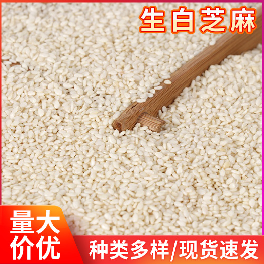临沂生芝麻仁批发脱皮芝麻仁新芝麻去皮芝麻袋装25公斤脱皮生白芝麻