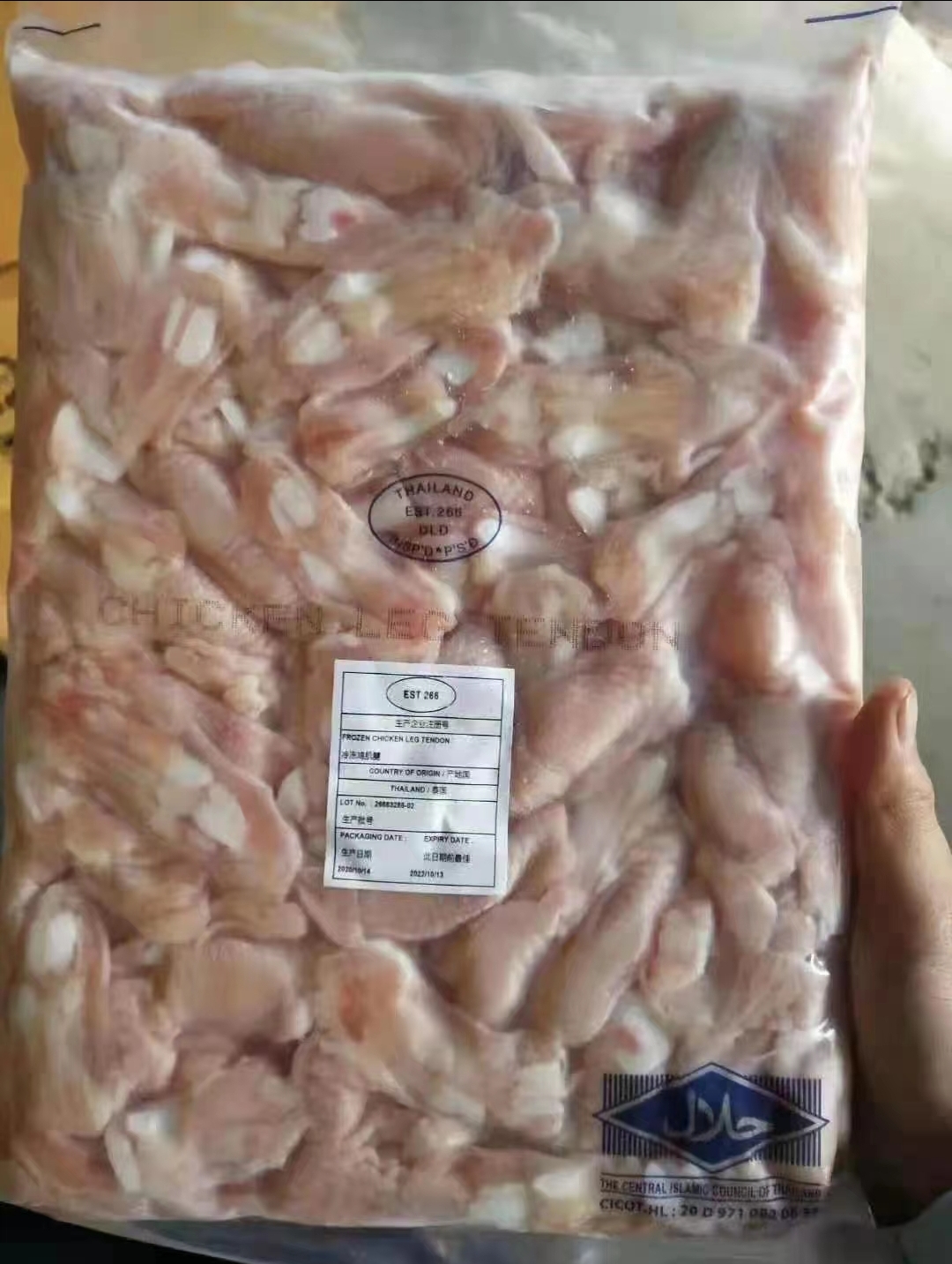 柴虫 美味食材，虫虫系列