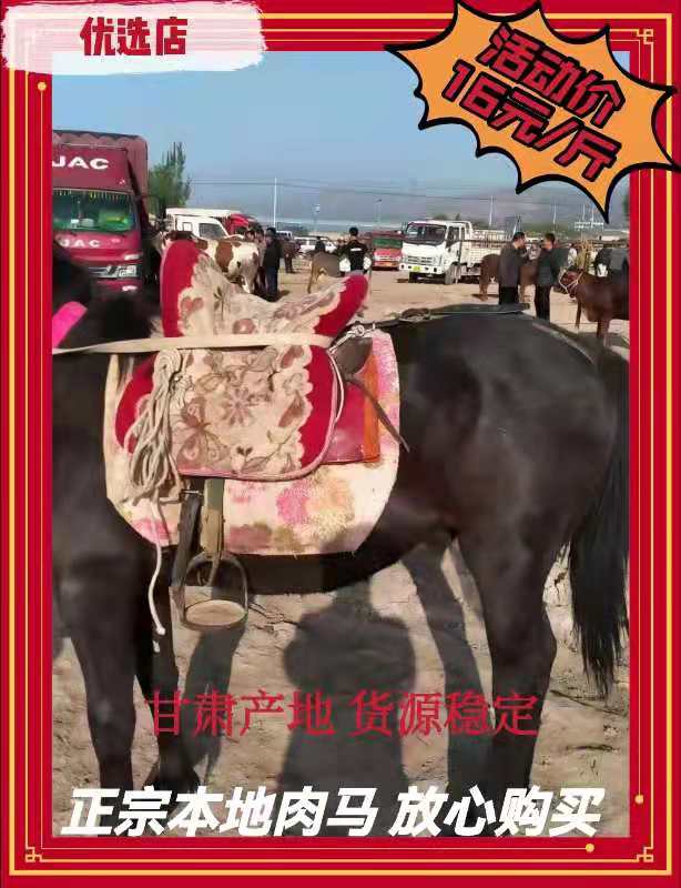 礼县肉马 400-600斤，马驹，都是山坡放养的，不吃饲料要就联