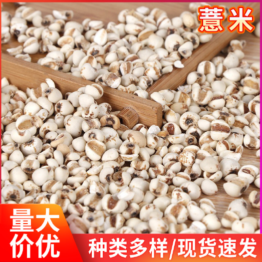 临沂大米  批发农家自产大薏米 五谷杂粮薏仁米批发 现磨豆浆磨粉磨料薏米