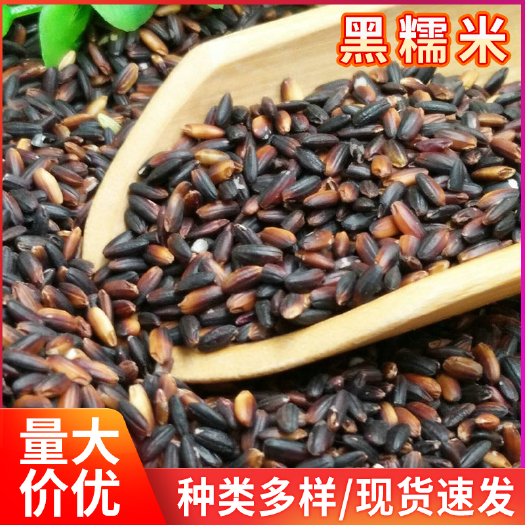 临沂 批发五谷粗粮新货黑糯血糯米 袋装磨粉粥汤料糯米 食用紫红糯米