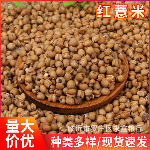 临沂批发贵州袋装25公斤红薏米 五谷杂粮红薏米 干货薏仁米红薏仁