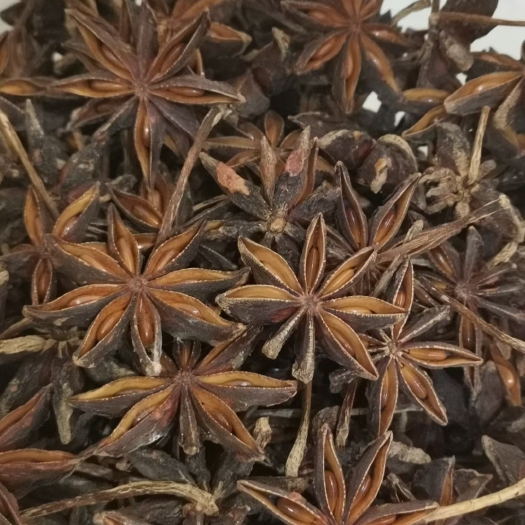 龙州县大红八角  大量八角出售