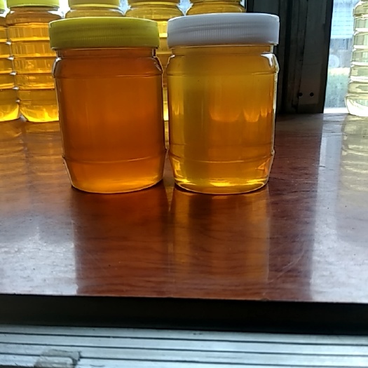 洪洞县枣花蜜 蜂蜜